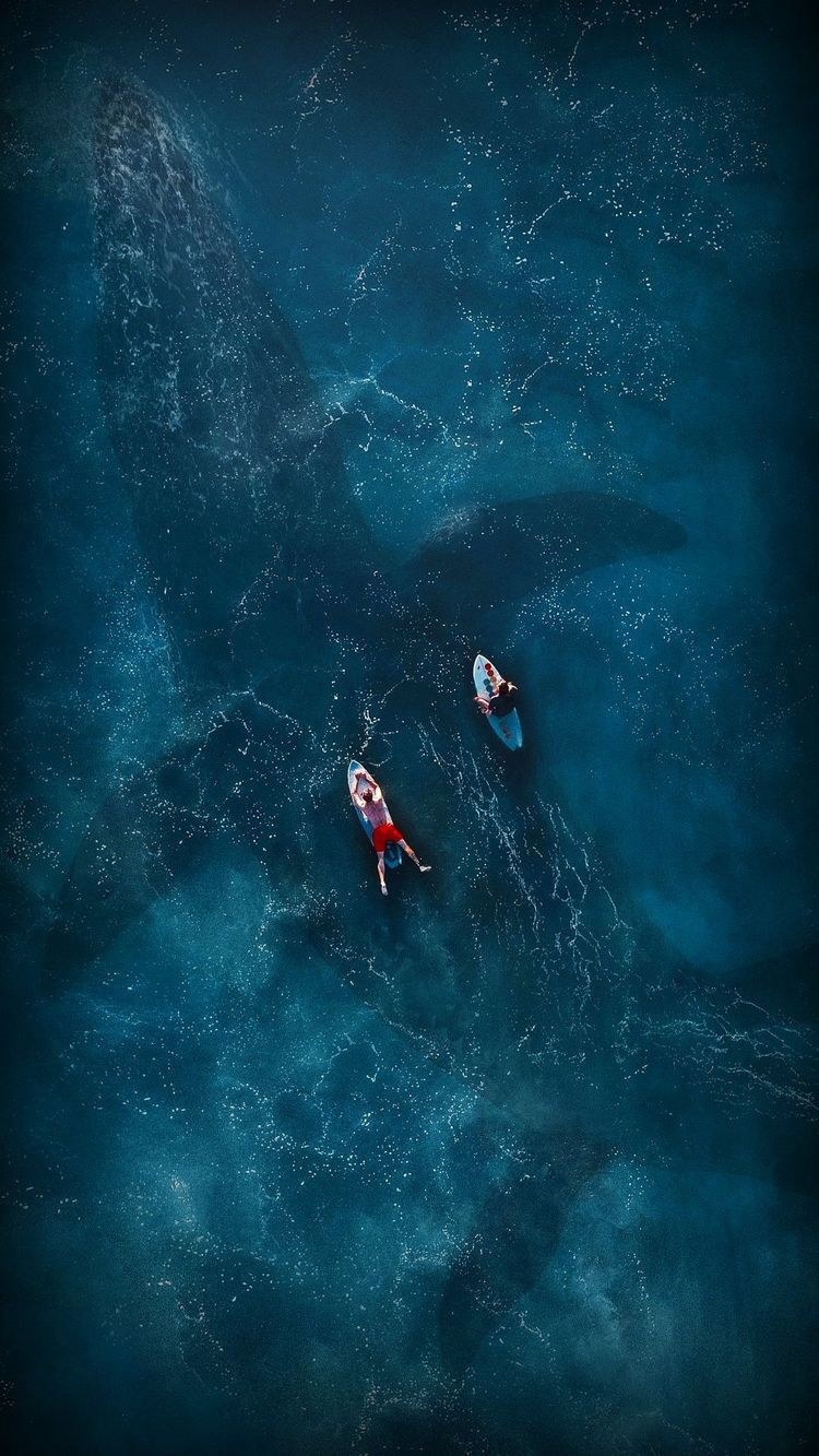 Картинки на заставку