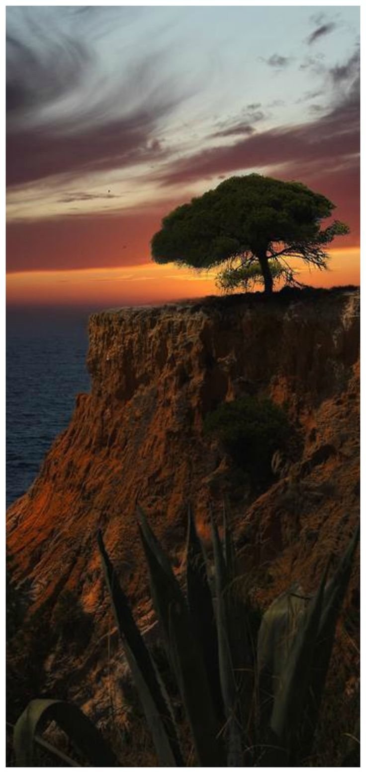 Пейзаж обрыв