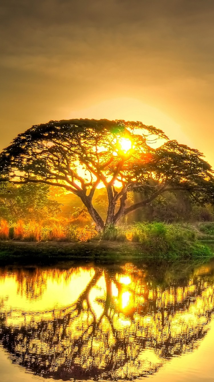 Волны на закате