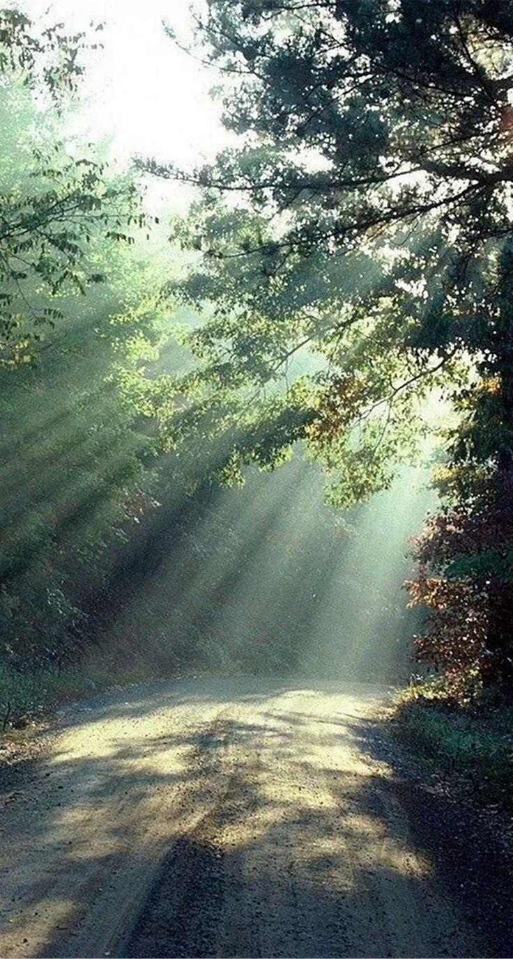 Картинки на аву природа лето