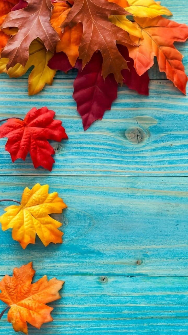 Яркие листья