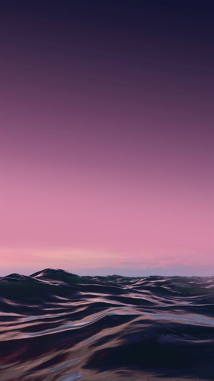 Коты Минимализм