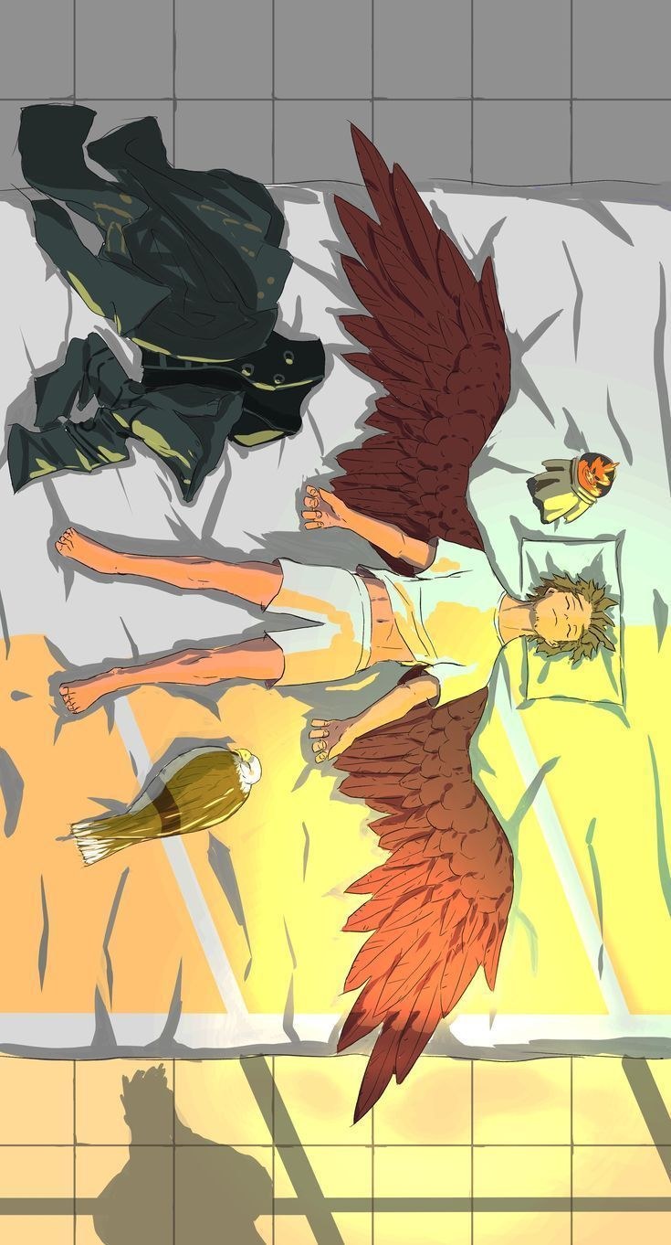 Ястреб геройская Академия