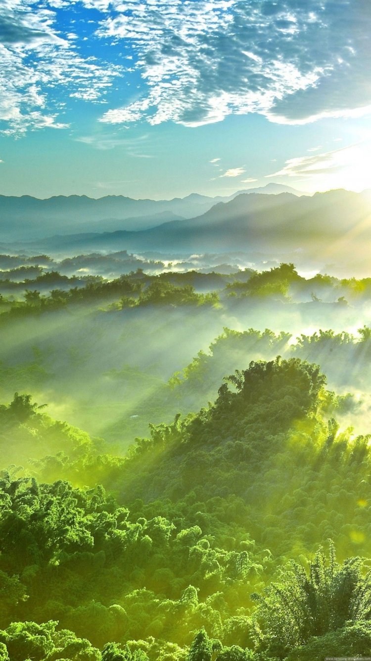 Природа вертикальные