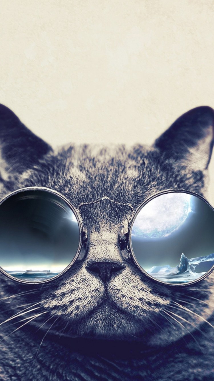 Айфон 5 чехлы кот силиконые