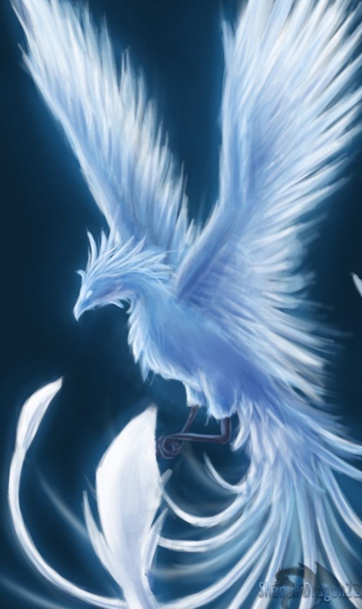 Каладриус птица