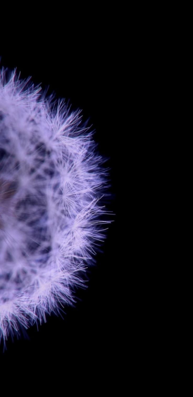 Абстрактные цветные шары