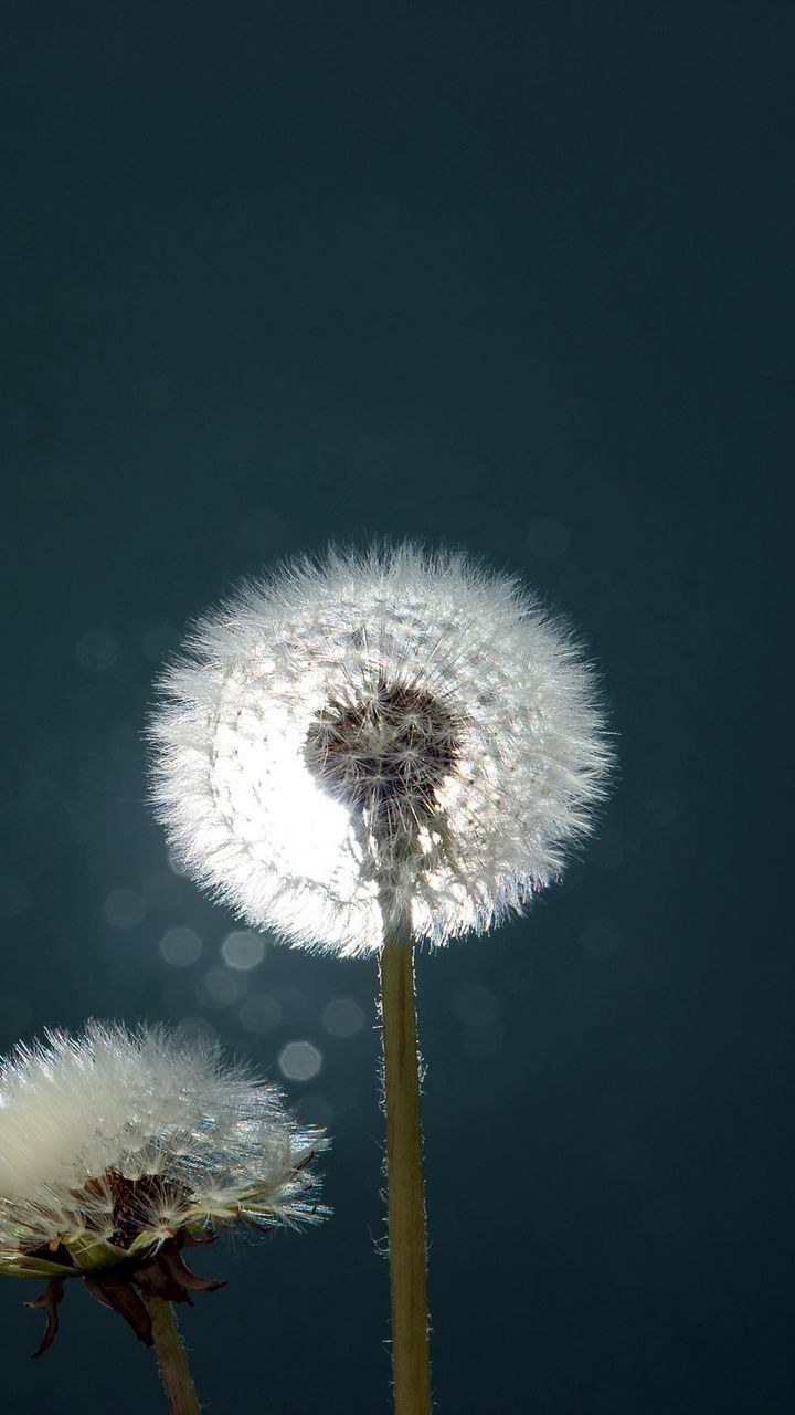 Яркие картинки