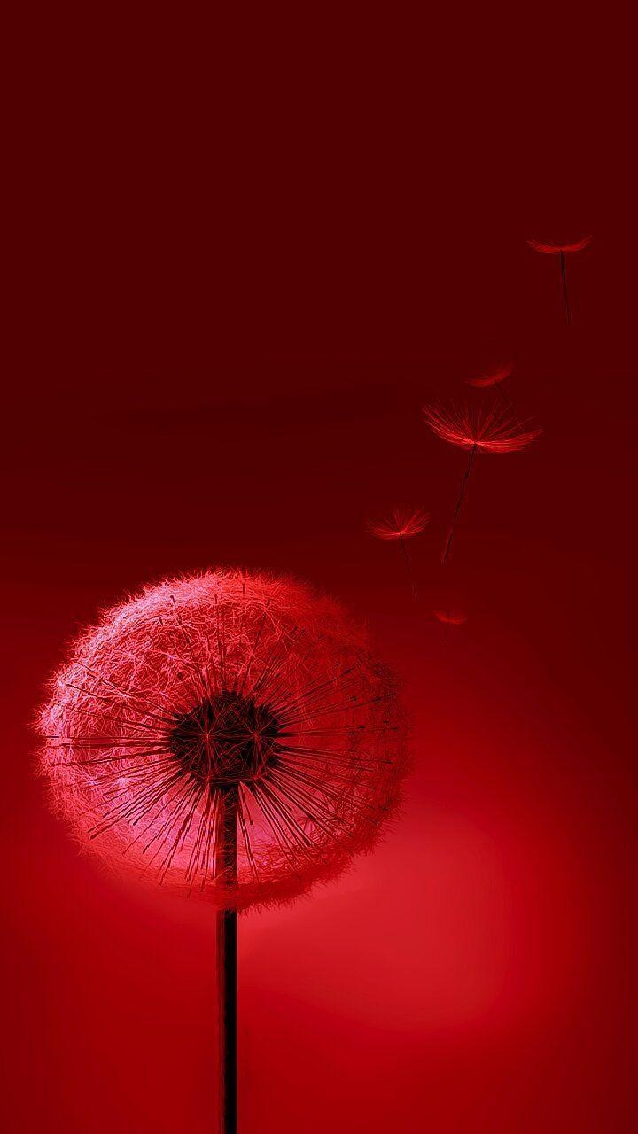 Розовый Пушистик