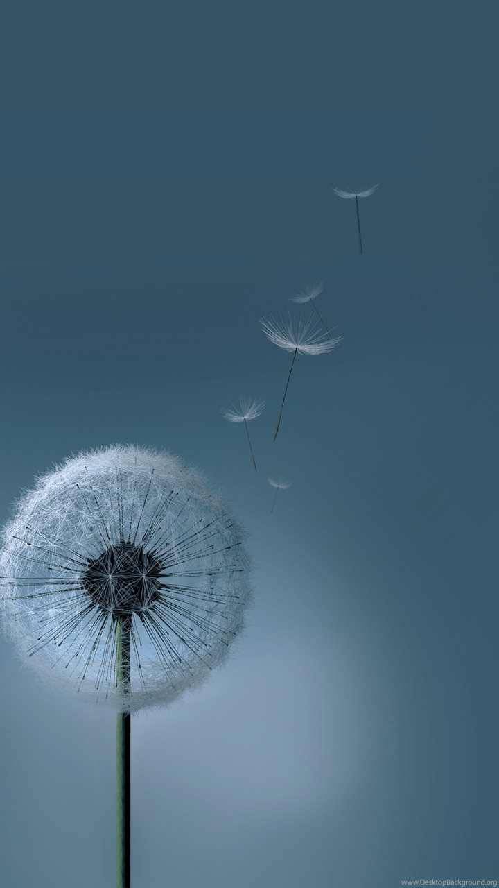 Красивый красный фон