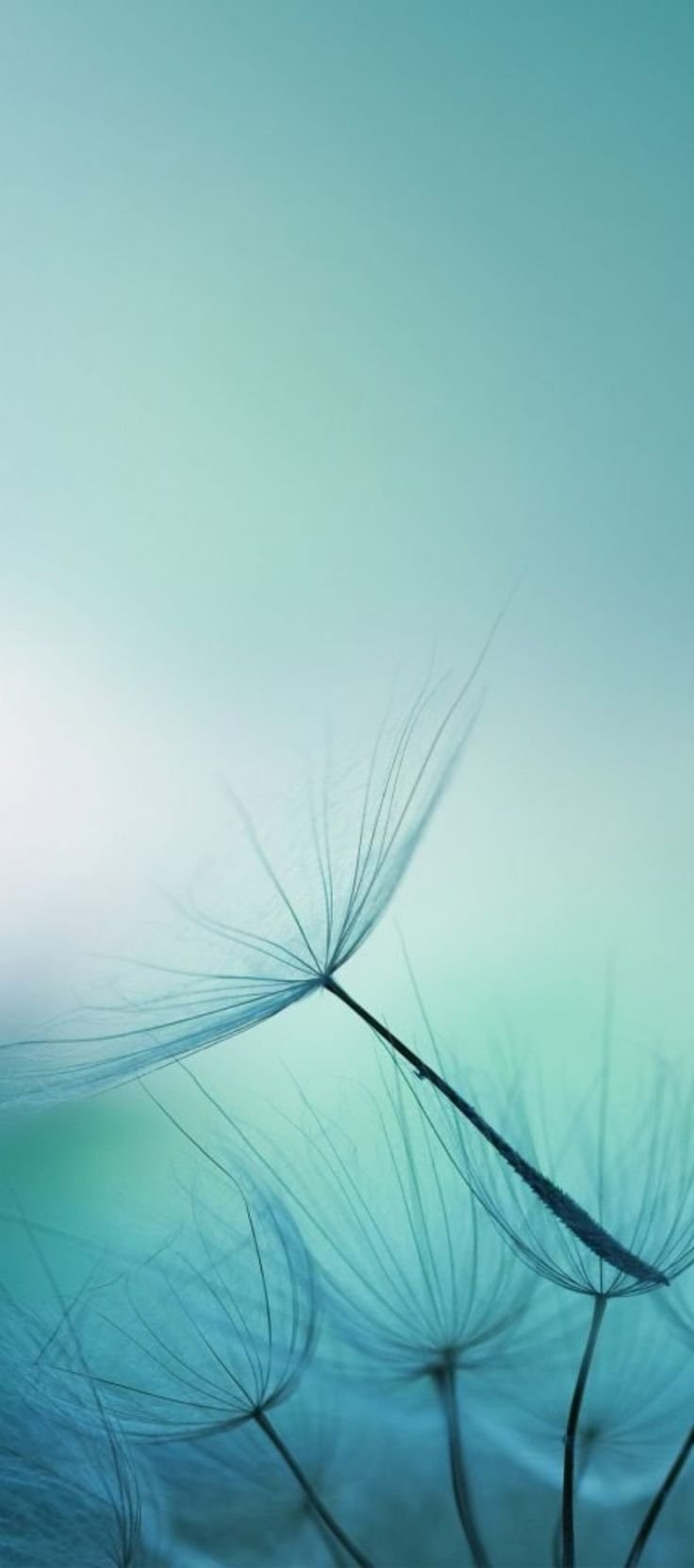 Обои на Samsung Galaxy j7 2017