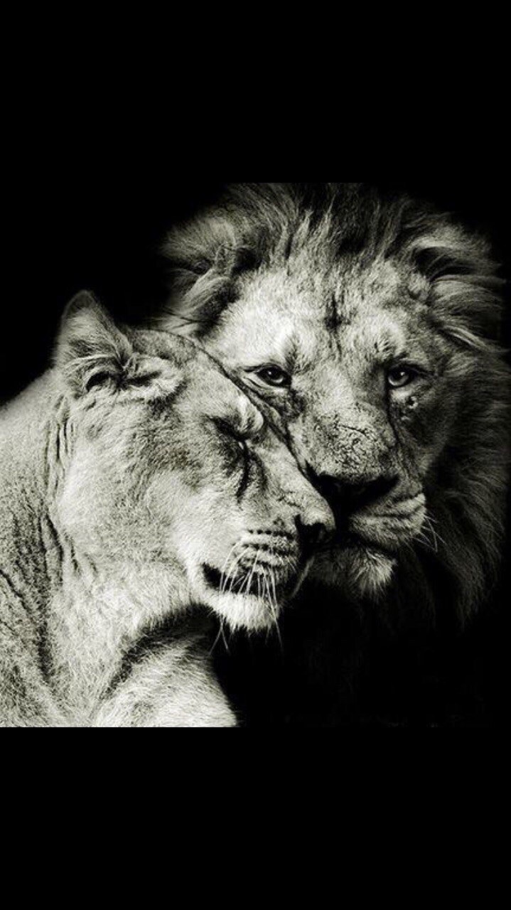 Аслан Наптугов