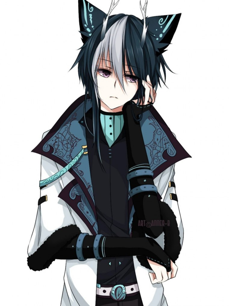 Аниме кун неко волк