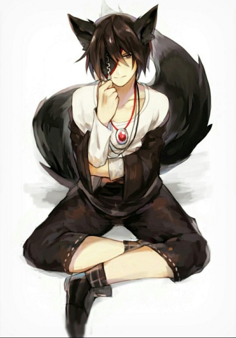 Грей Фулбастер кот