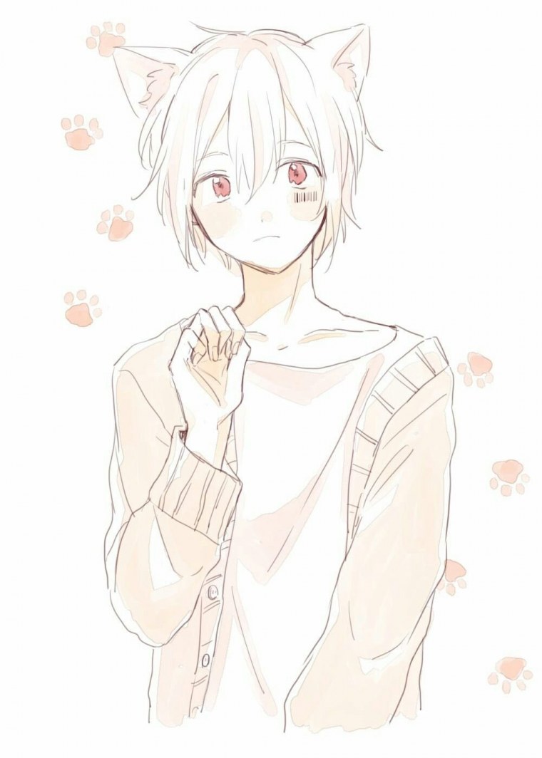 Ацуши Накаджима с ушками и хвостом