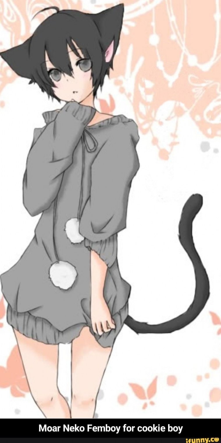 Неко кун арт