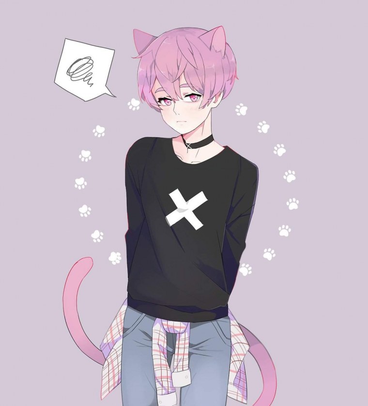 Аниме парни неко