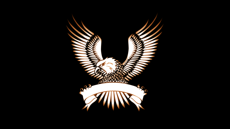 Орел на черном фоне