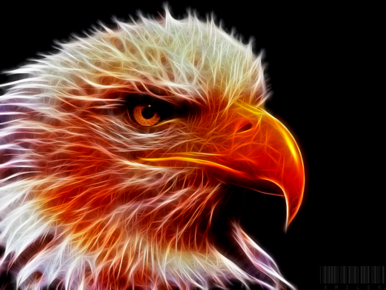 Орел на аву