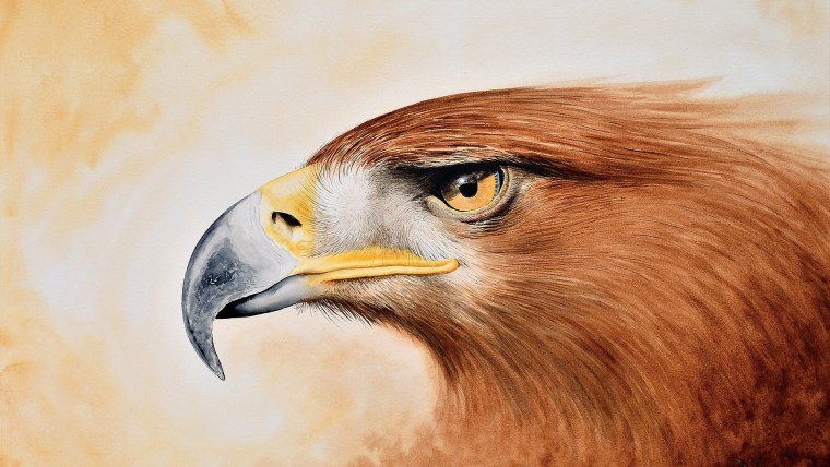 Орел рисунок