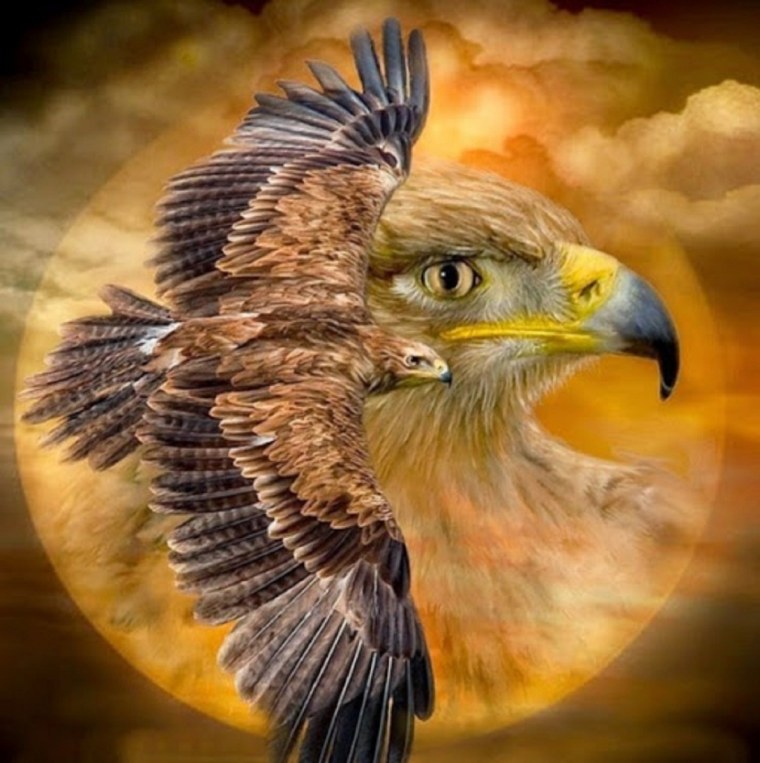 Тотемная птица