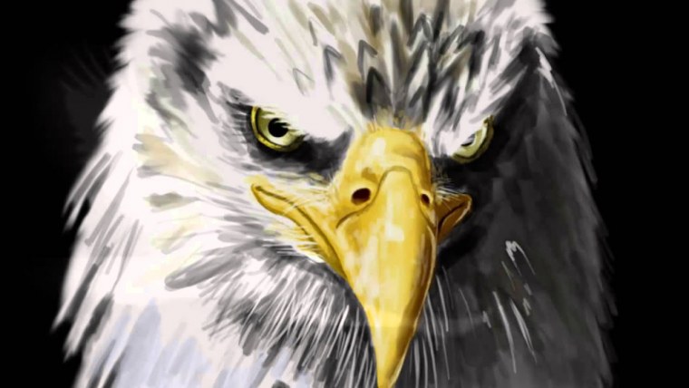 Аватар голова орла