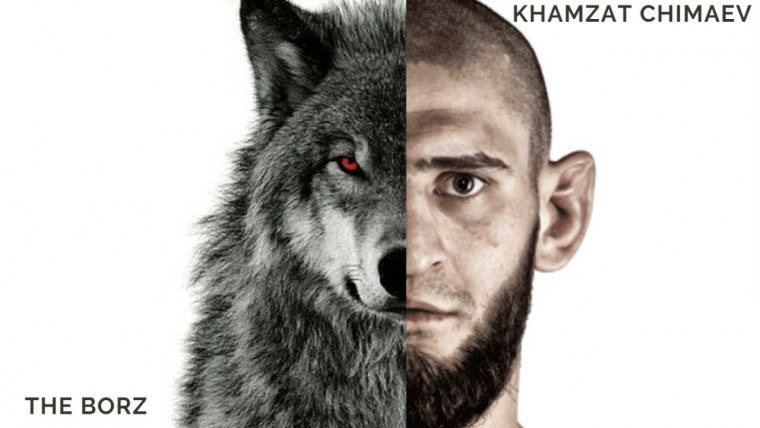 Хамзат Чимаев волк или Борз