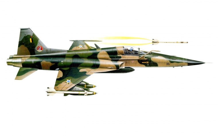 Самолёты Нортроп Тайгер арт