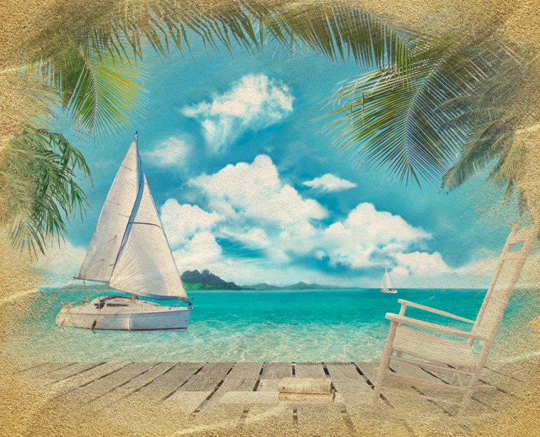 Фон ракушки