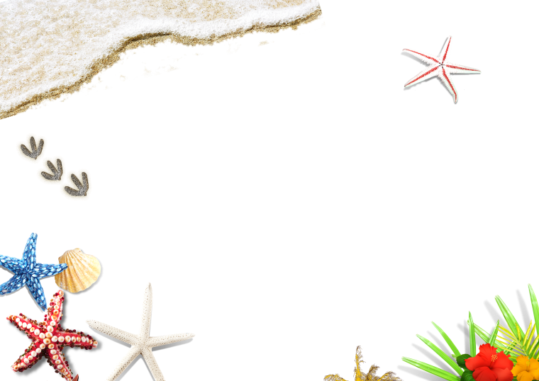 Рамка морская на прозрачном фоне