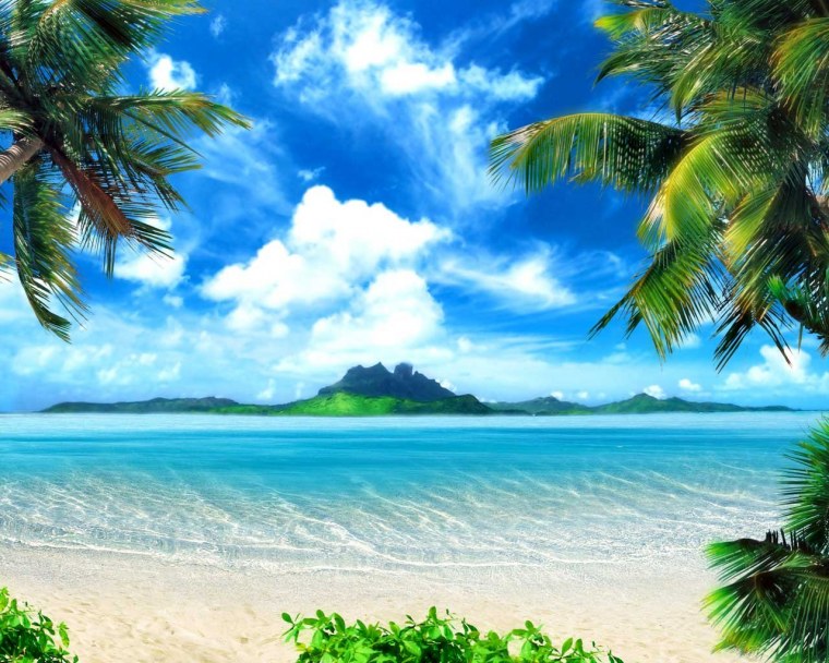 Пляж с пальмами