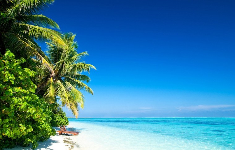 Лазурный берег пальмы солнце