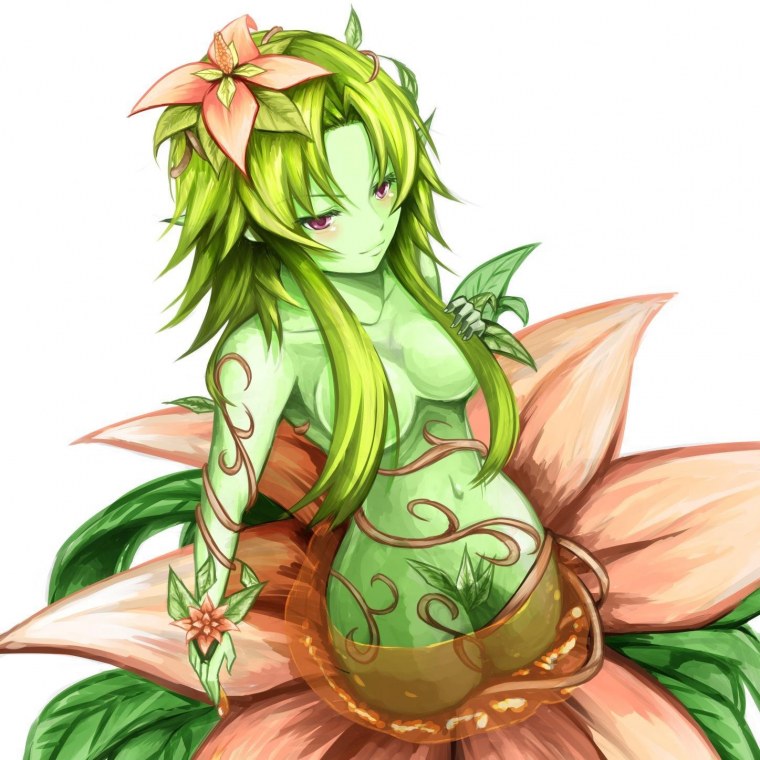 Дриада террария 34