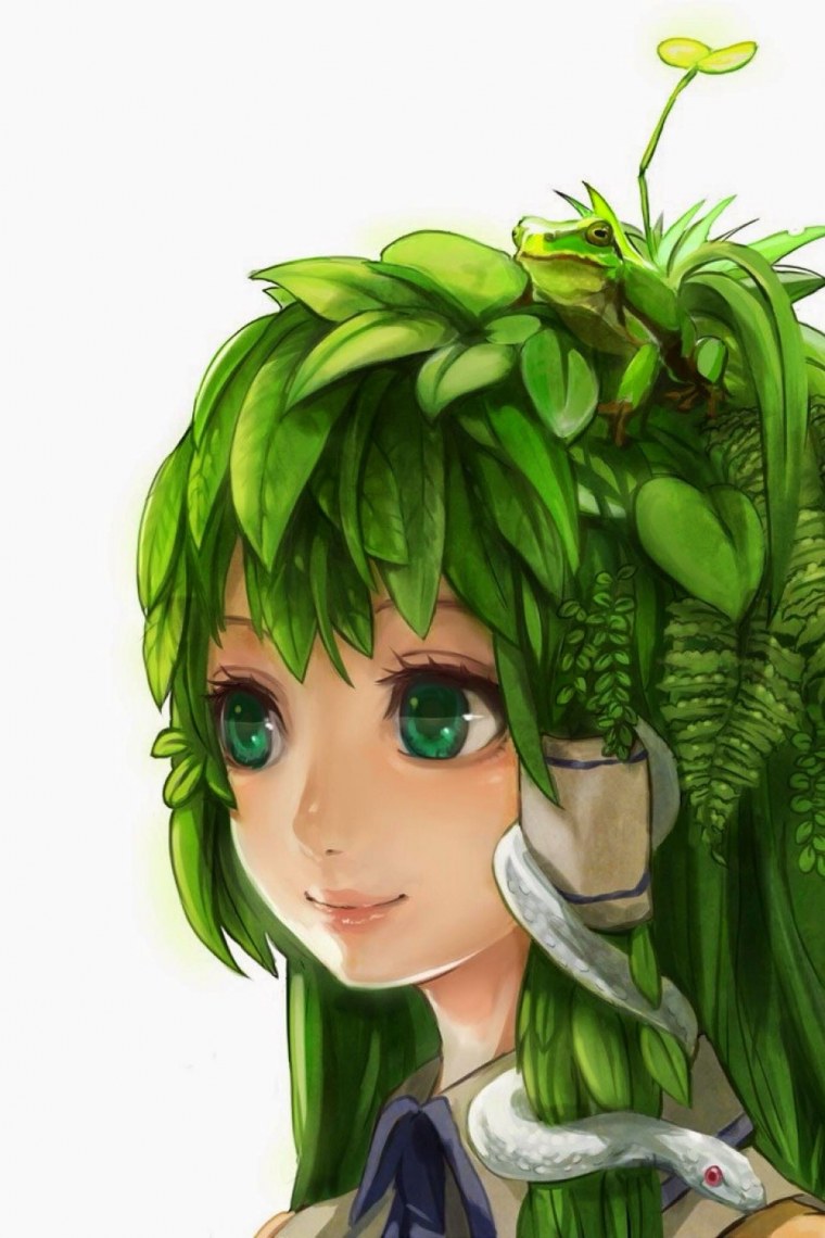 Аниме Hiten goane Ryu