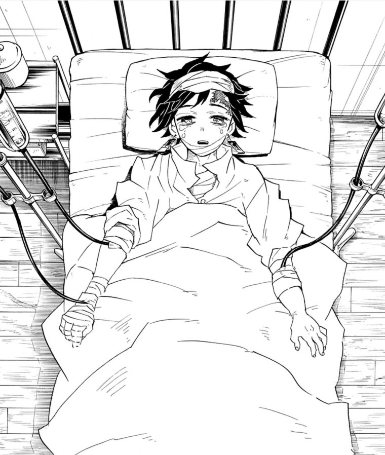 Муичиро Токито и Танджиро Камадо