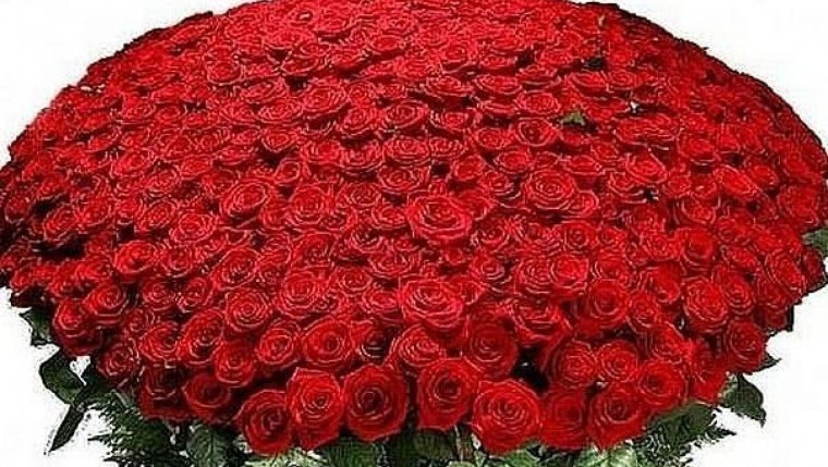 Огромный букет