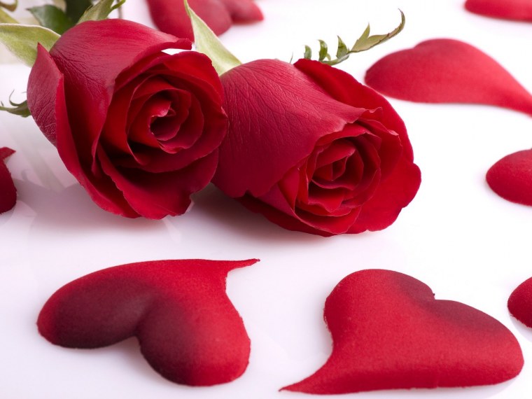 Романтические цветы для девушки