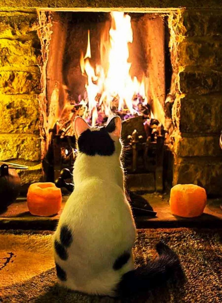 Возле камина