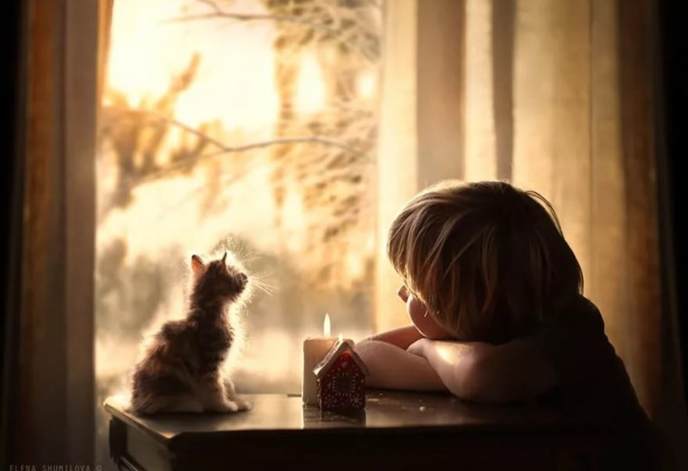 Душевное тепло