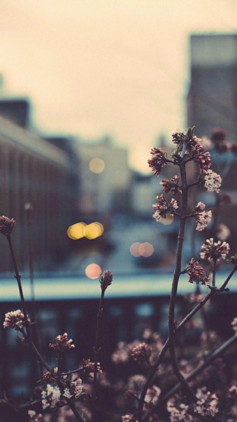 Привет ноябрь