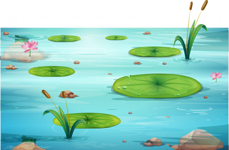 Фон болотце для детей