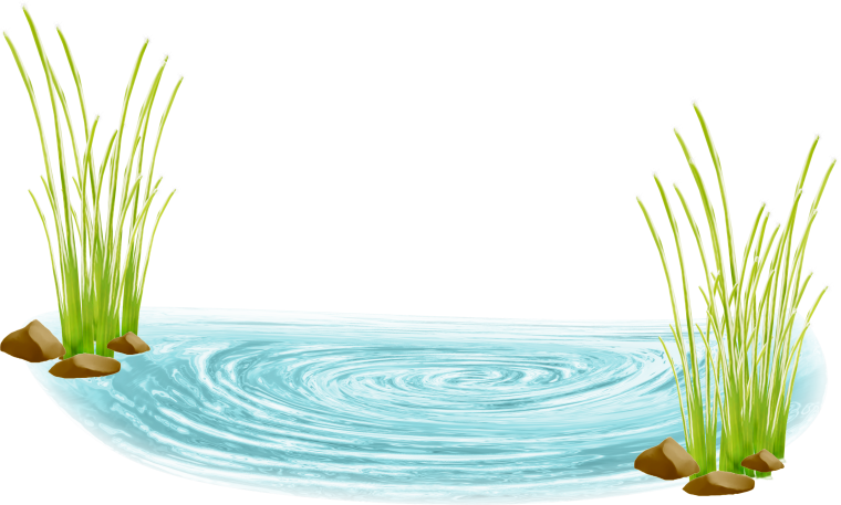 Водоем на прозрачном фоне