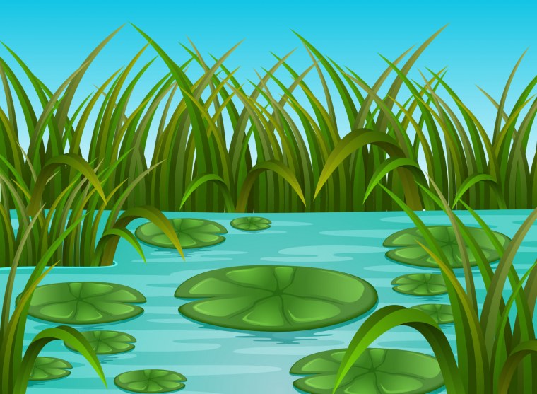 Болото мультяшное кувшинки