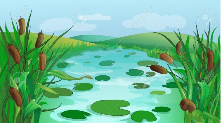 Болото для дошкольников