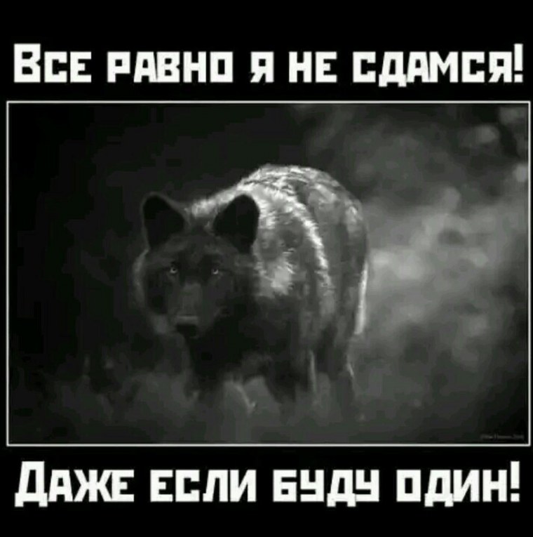 Волк одиночка Мем