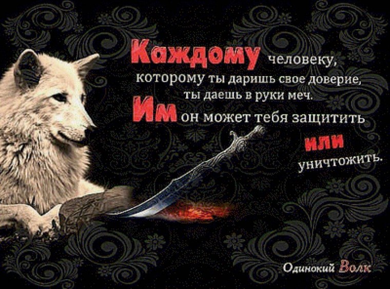 Цитата про доверие волк
