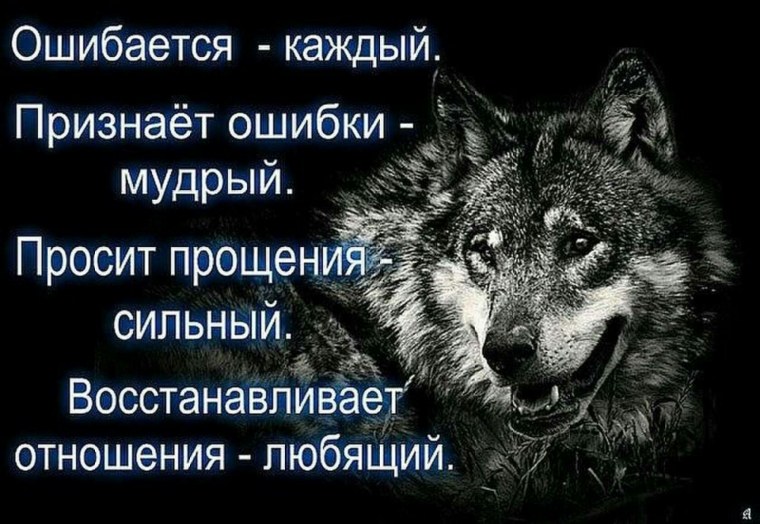 Красивые цитаты с волками
