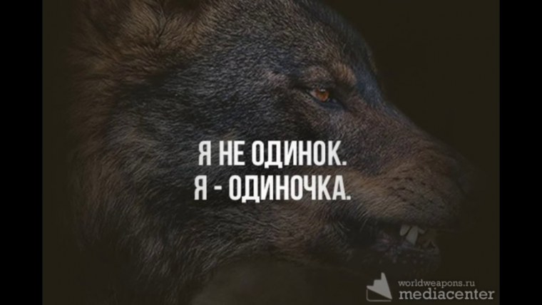 Циат ы про одинокого волка