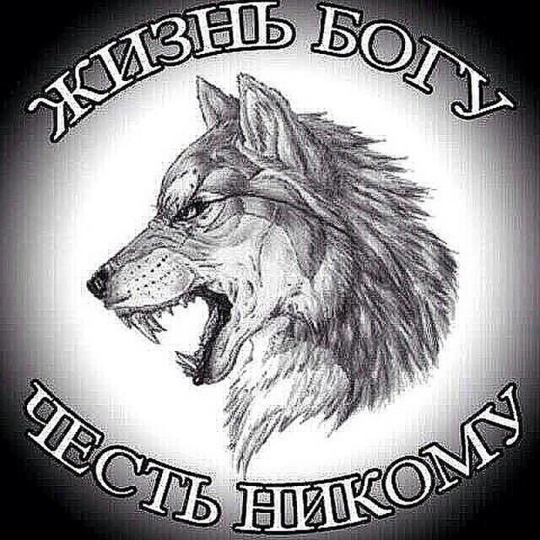 Волк с надписью