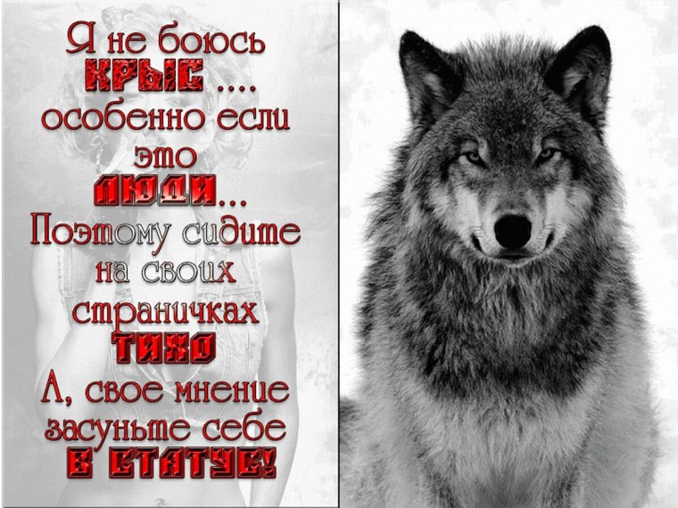 Статусы с волками